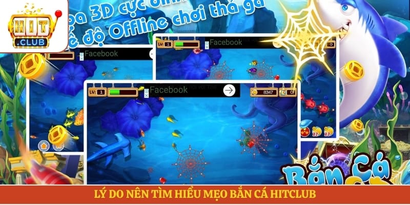 Lý do nên tìm hiểu mẹo bắn cá Hitclub