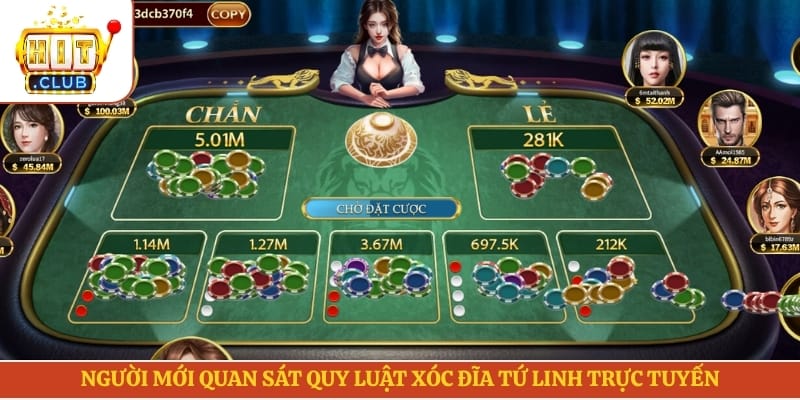 Người mới quan sát quy luật xóc đĩa Tứ linh trực tuyến