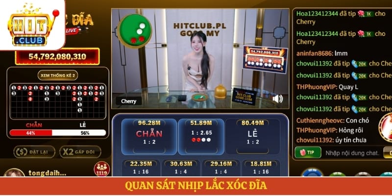 Quan sát nhịp lắc xóc đĩa 