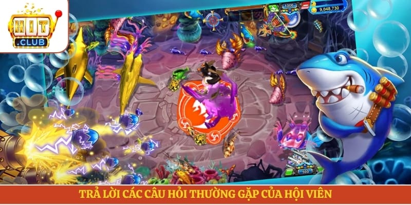 Trả lời các câu hỏi thường gặp của hội viên 